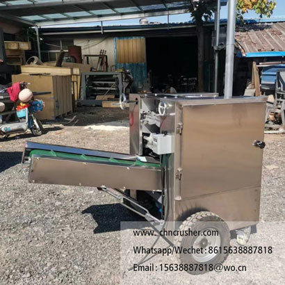 Coconut peeling machine