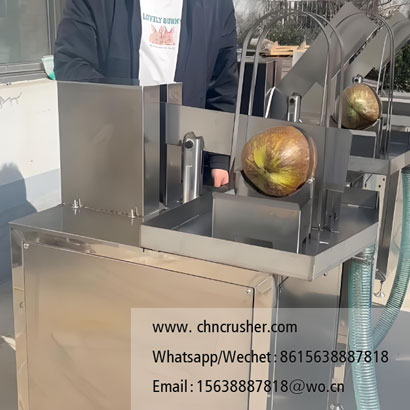 Coconut splitting machine