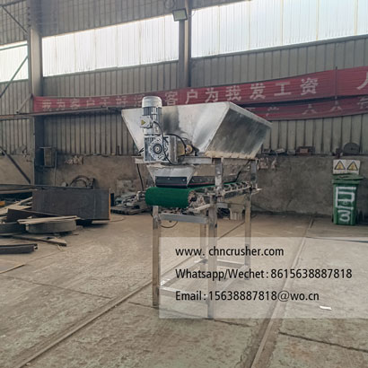 Ice Slush Bagging Machine