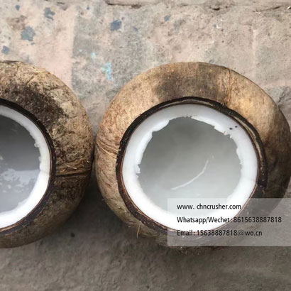 Coconut Opening Machine